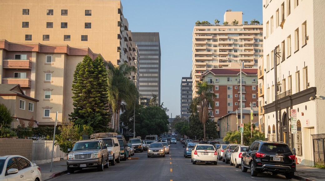 Koreatown showing a city