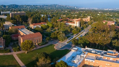 Aerial view of UCLA campus in Westwood, Los Angeles, showcasing Romanesque Revival architecture, modern buildings, green spaces, and a serene city backdrop under a partly cloudy sky.