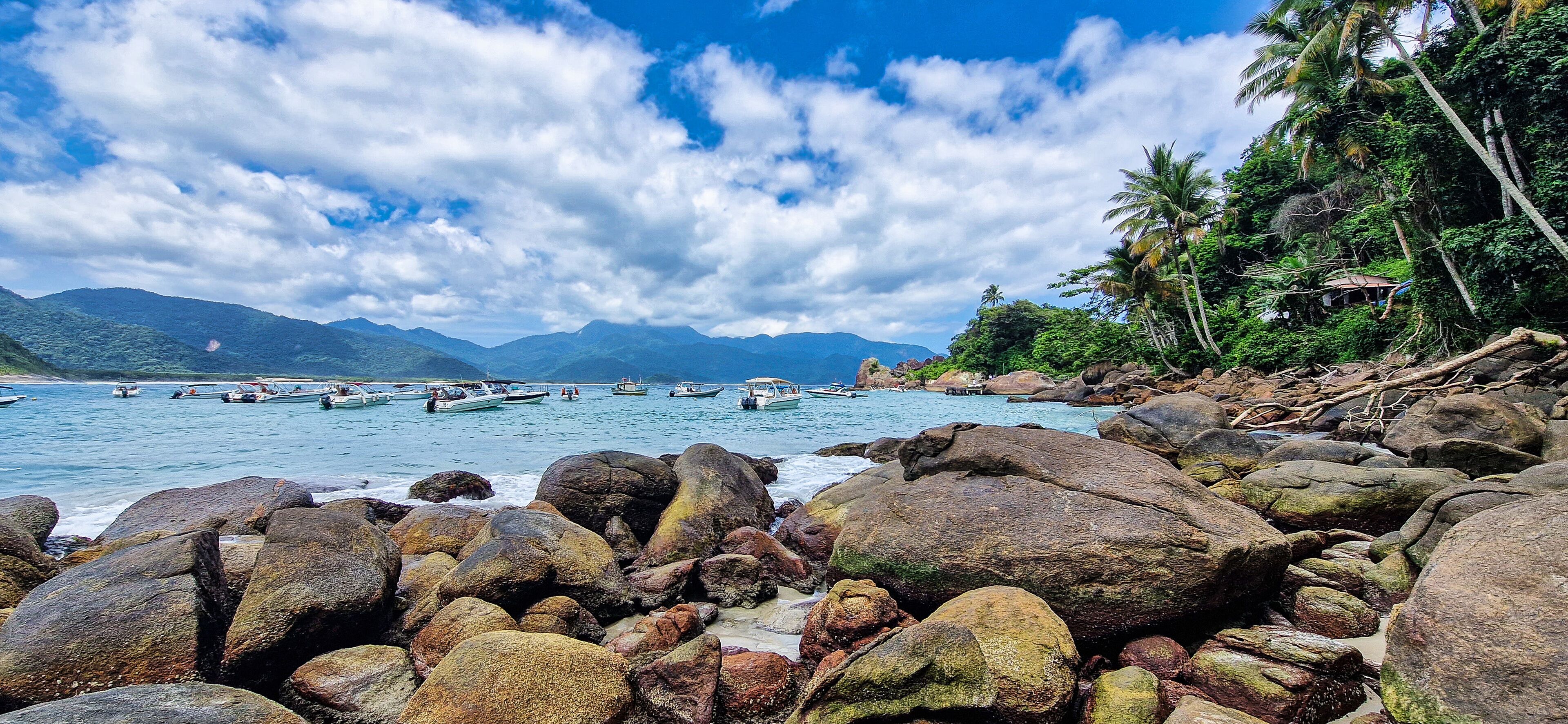 A rocky shoreline with boats on calm water, palm trees, and mountains in the background.