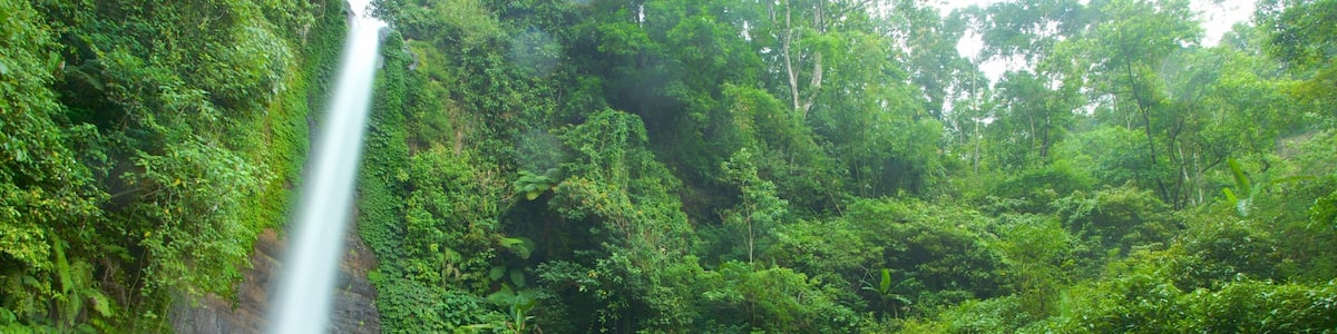 Une cascade se déversant le long d’une falaise rocheuse, entourée d’une forêt verdoyante et luxuriante.