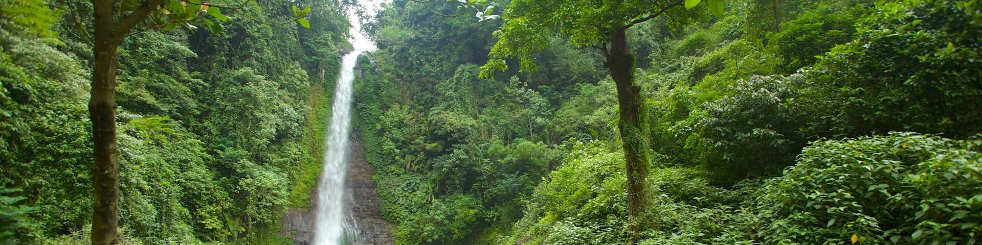 Gitgit-WasserfÀlle das einen Regenwald, Fluss oder Bach und Landschaften