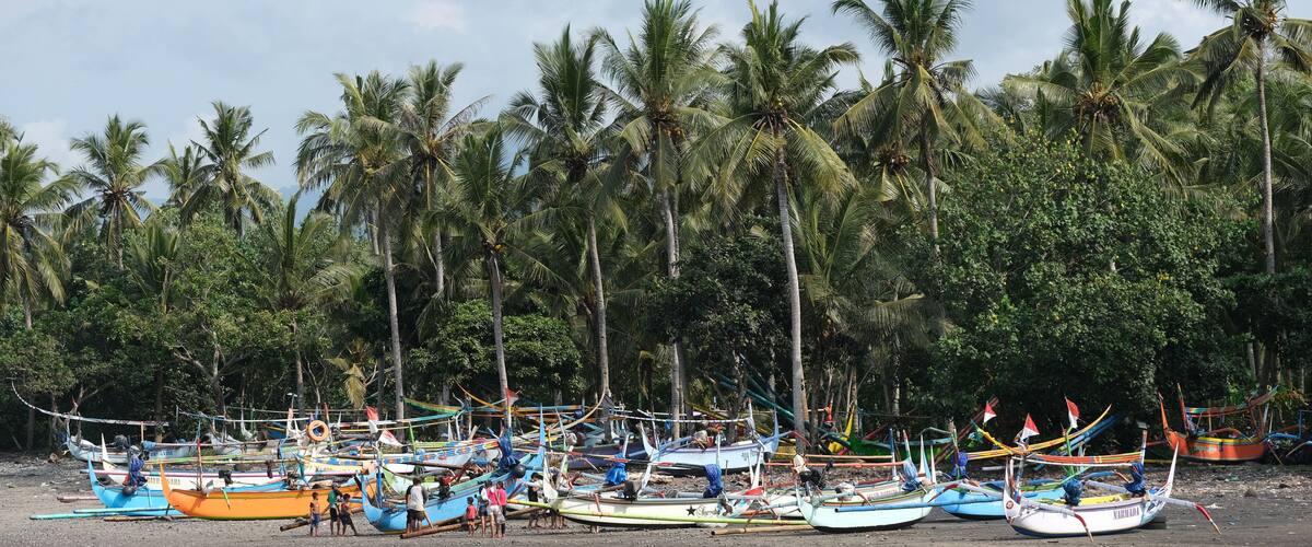 A beach with numerous colorful boats, palm trees, and a sandy shore.