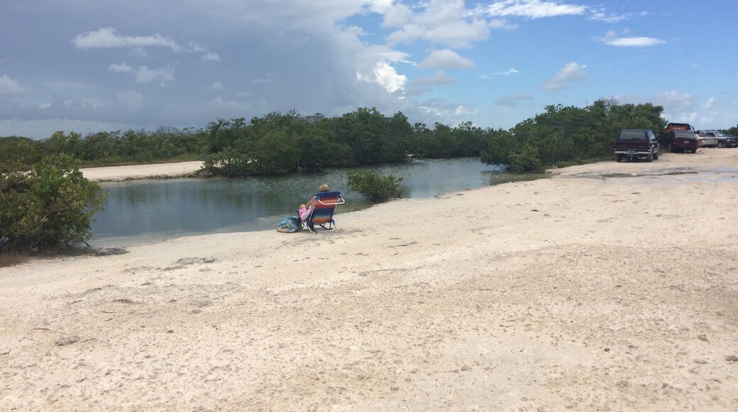 Ramrod Key Florida Swimming Hole, Shutterstock ID 1174168594, Purchase Order: Wave 0 First Batch, Order Number: , Client/Licensee: Hotels.com / BEX, Other: Mixed Budget