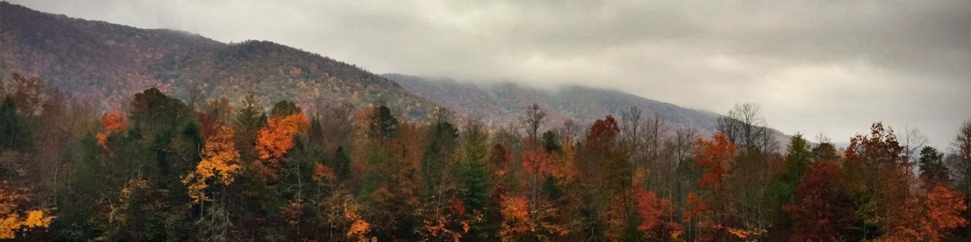 Fall is few weeks away in the Appalachian Mountains. My favorite fall drive is on the Cherohala Skyway. Indian Boundary Lake is a must stop and visit while driving through the Southern Appalachian Mountains. #golden