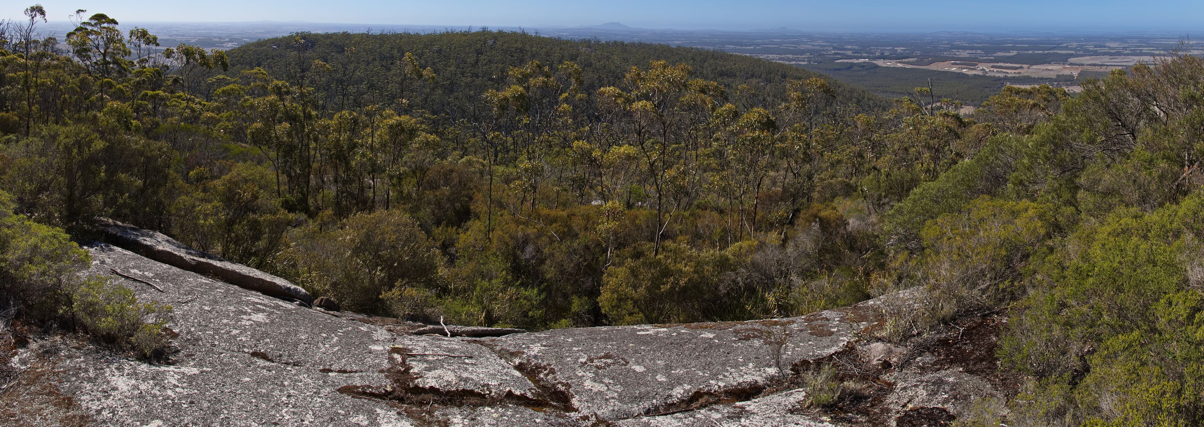 A rocky outcrop surrounded by dense forest and a distant view of a flat landscape.