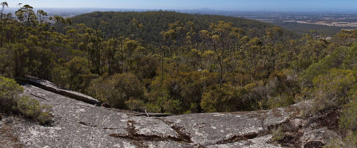 A rocky outcrop surrounded by dense forest and a distant view of a flat landscape.