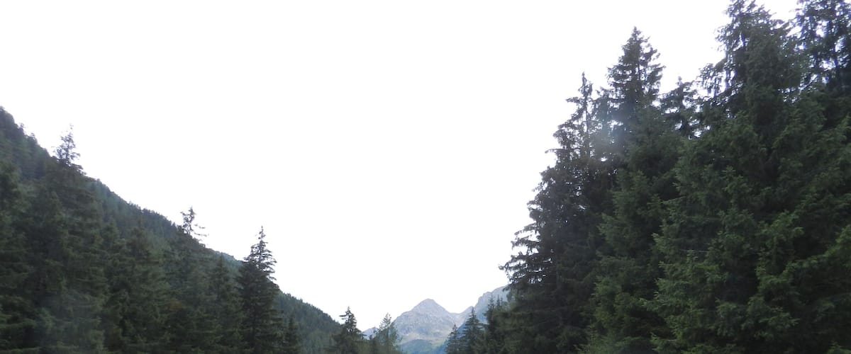 A forested valley with a dirt path leading towards distant mountains.
