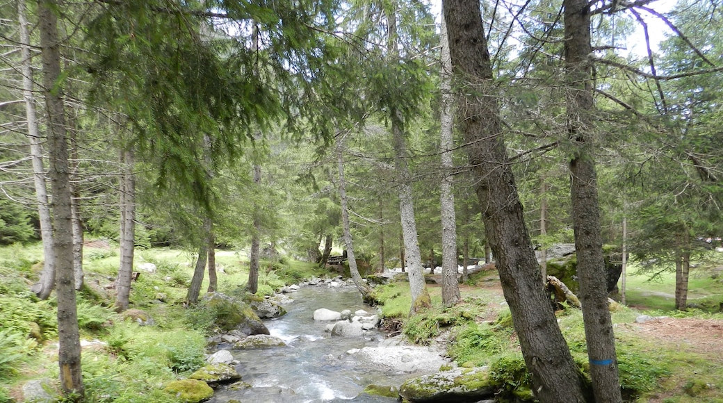 Valli di San Antonio (Q47489107)