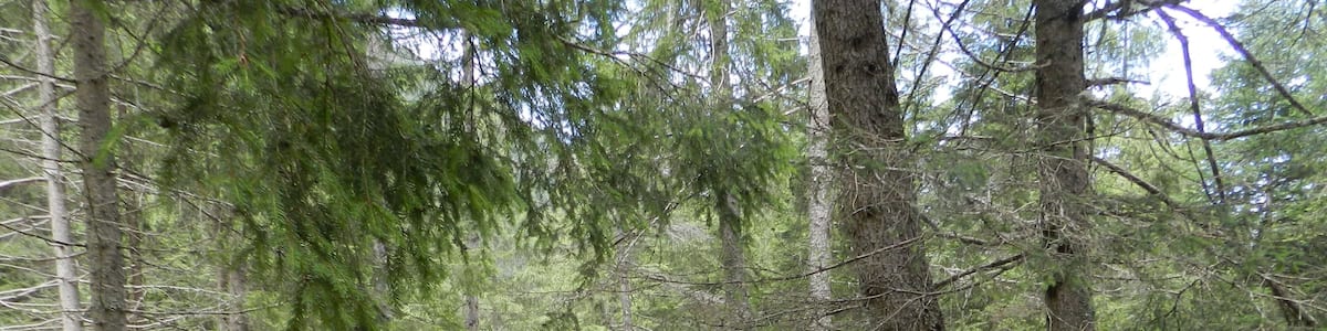 Valli di San Antonio (Q47489107)