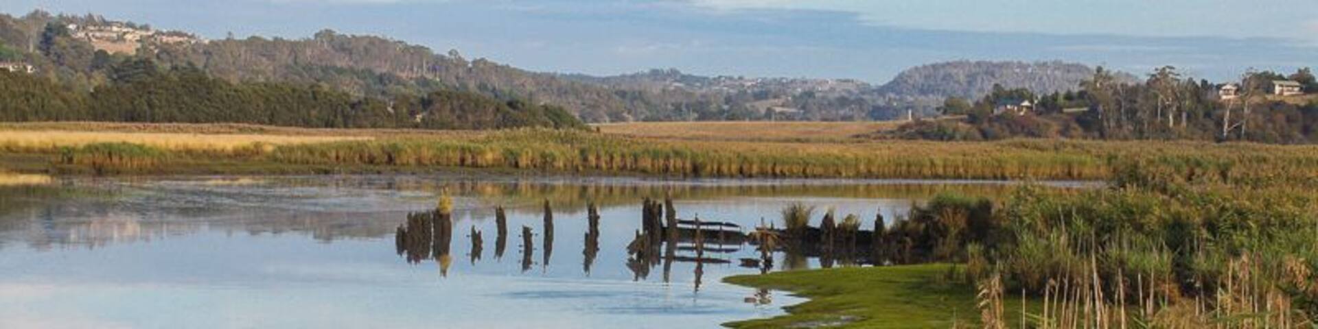 Only a 10 minute drive north of Launceston, the perfect way to start your morning is with a leisurely 3km return walk through the wetlands to Tamar Island.
Get there early enough and you’ll have the walk all to yourself. A boardwalk extends over swamps and crosses the river to two islets and then Tamar Island,