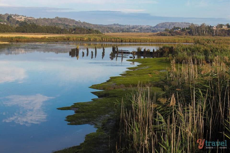 Un lago tranquilo con reflejos, rodeado de zonas de pasto y juncos.