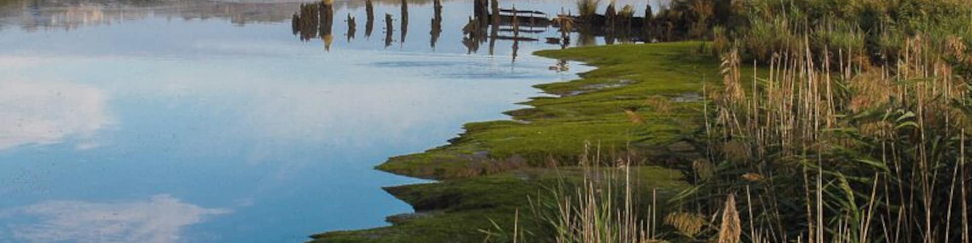 Only a 10 minute drive north of Launceston, the perfect way to start your morning is with a leisurely 3km return walk through the wetlands to Tamar Island.
Get there early enough and youâll have the walk all to yourself. A boardwalk extends over swamps and crosses the river to two islets and then Tamar Island,