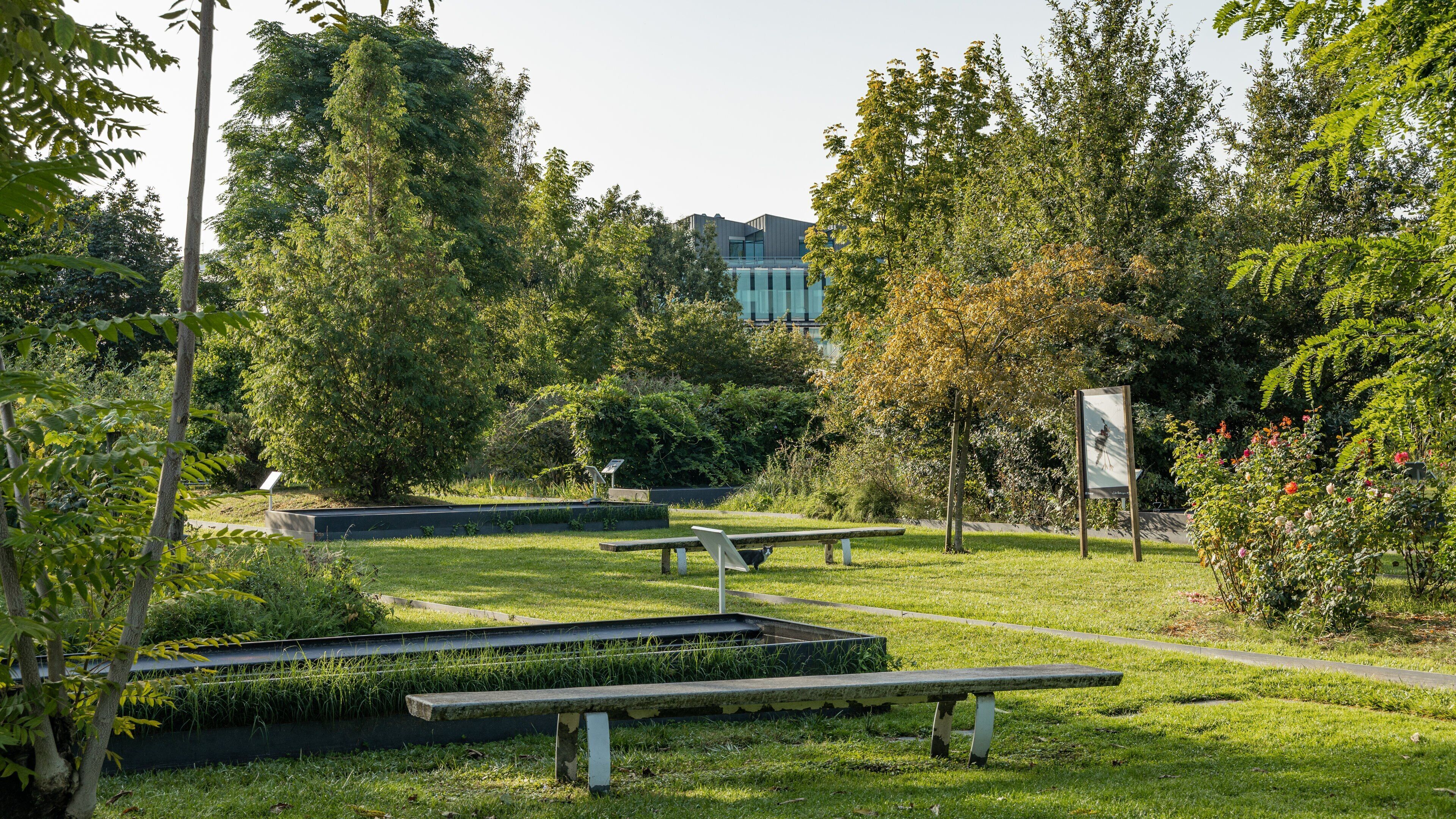 Bordeaux Botanical Garden