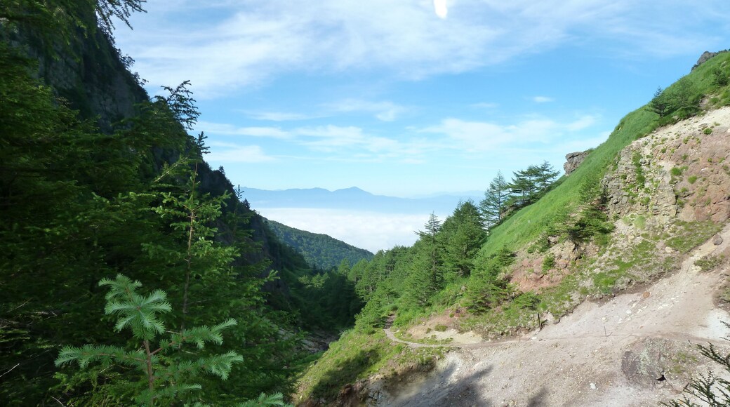 浅間山(前掛山登山道、火山館の西)
