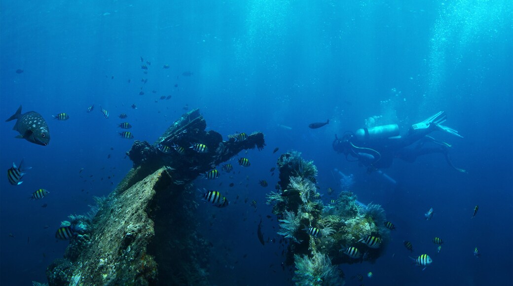 Wrack der U.S.S. Liberty