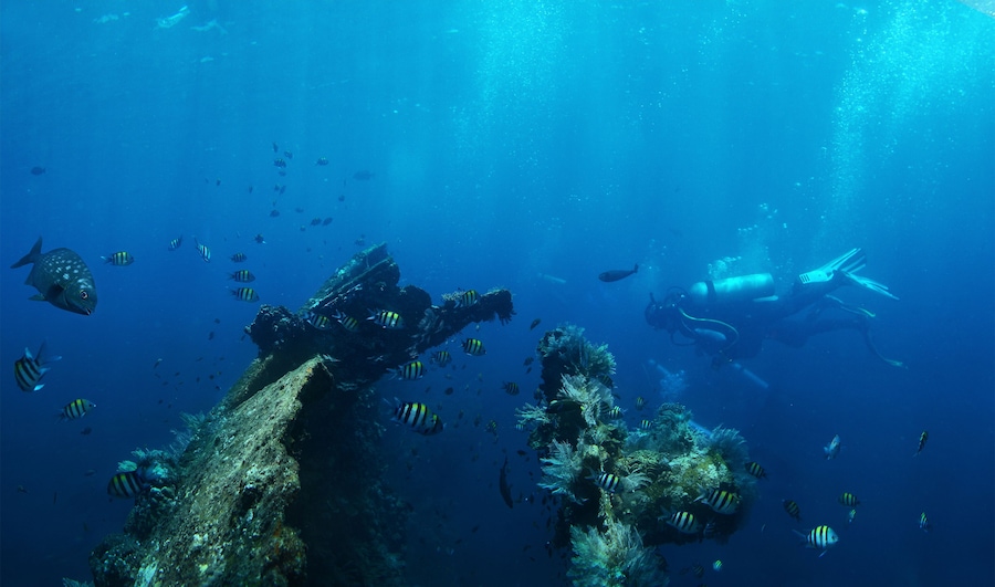 A diver exploring a submerged shipwreck with striped fish swimming around.