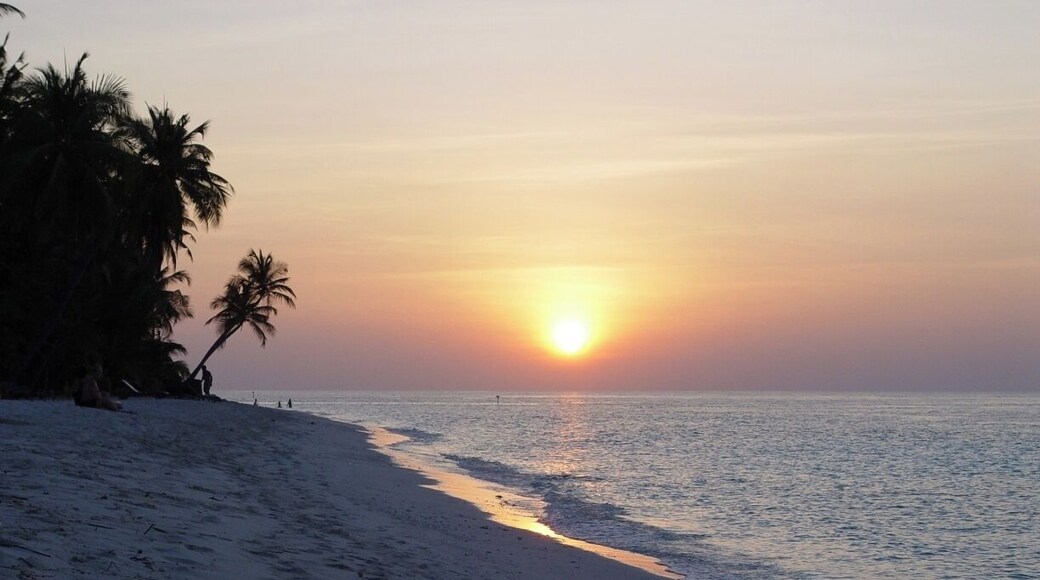 After a seaplane and boat transfer from Male we took off our shoes as we stepped on to the beach…. and didn’t put them back on again until we left 11 days later. Stunning Maldivian island with it’s own house reef - the reef drop off is an easy swim from the shore and is home to a huge array of fish.