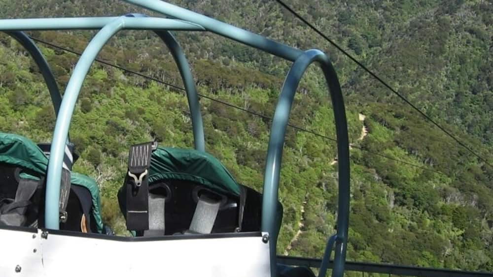 The Skywire at Happy Valley Adventures is a four-person cage attached to a modified flying fox, and drops you for one mile at over 100 kph (50mph). Authentic Kiwi hospitality that you don't find many other places in NZ.