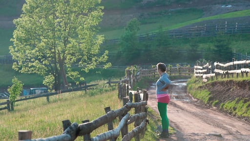 'For the evening walk, we decided to climb one of the hills facing our guesthouse. Our nostrils were invaded by the smells of the countryside, of the wild flowers, and of the trees seen through the small stretches of forest we came across. The view on the other side of the hill was unforgettable: Cobleş Village in the dim light of the setting sun. ‘It should be quite a feast waking up every day to this view’ I told an old lady approaching us. It all felt so mellow, light, and close to the original beauty of places and goodness in the people.'