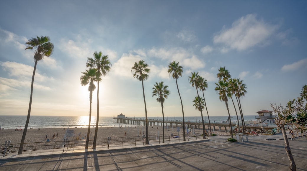 Manhattan Beach pier with aplm trees along the beach in California