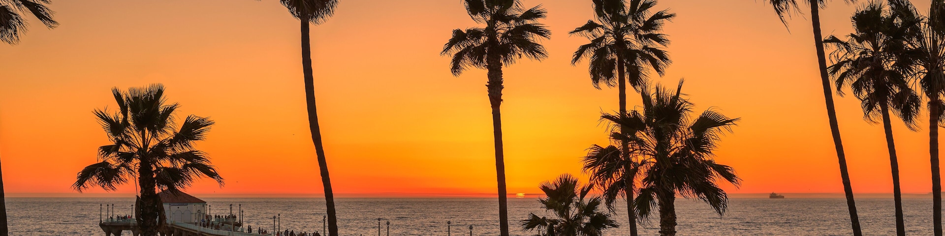 Beach in Jamaica with tall palm tree on Caribbean sea, Montego Bay
