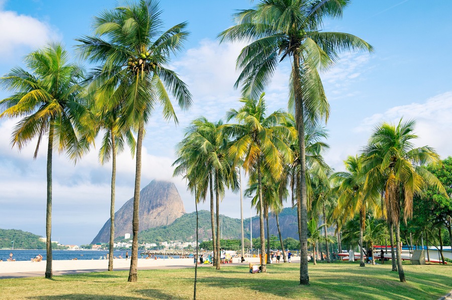 Scenic view of Flamengo Beach with palm trees in front of Sugarloaf Mountain in Rio de Janeiro, Brazil