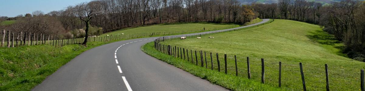 Estrada asfaltada a meio uma verde pastagem rodeada por uma cerca de madeira e algumas ovelhas ao fundo no pasto