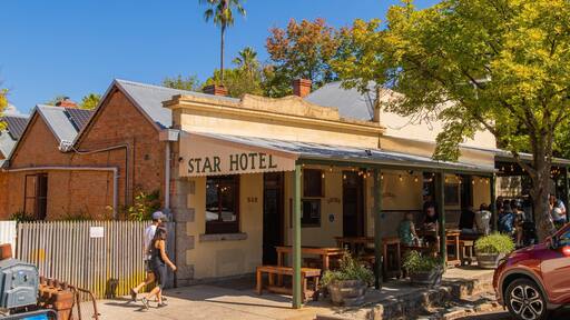 Yackandandah showing a small town or village and signage