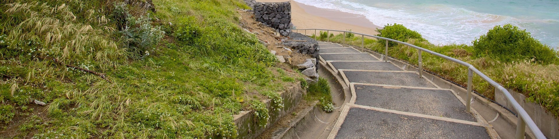 Aquitaine featuring general coastal views
