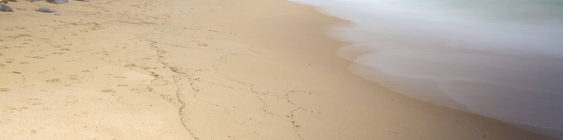 Marbella Beach which includes a sandy beach and mist or fog