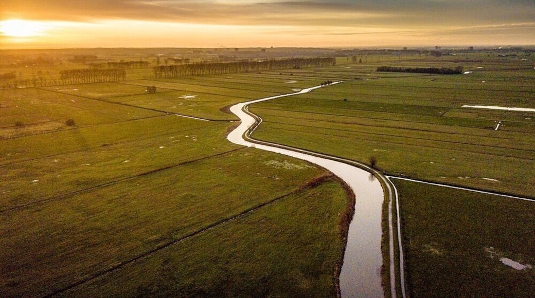 This place is called “het binnenveld”. A natural environment between Wageningen, Veenendaal and Ede