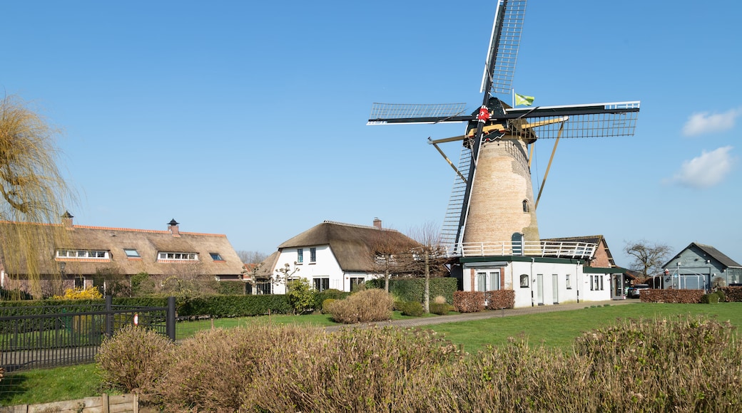 Groenekan