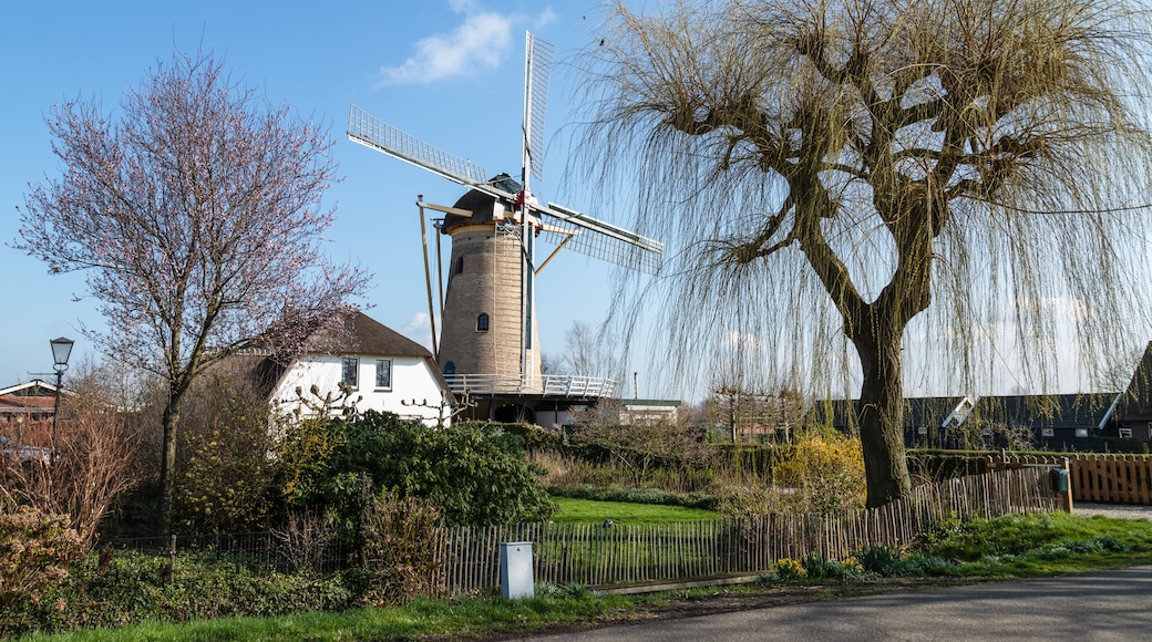 Groenekan