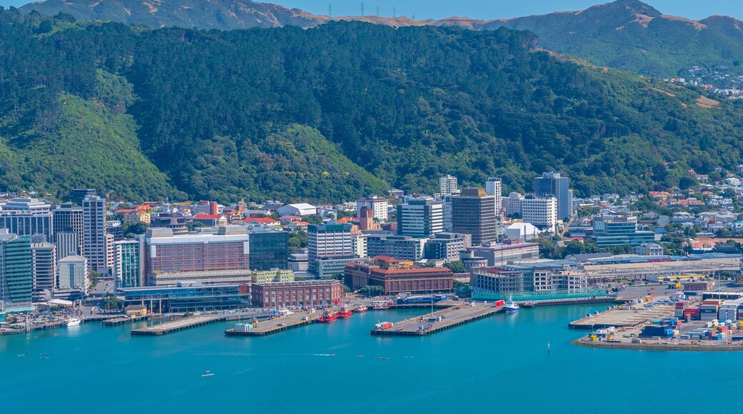 Waterfront of port in Wellington, New Zealand