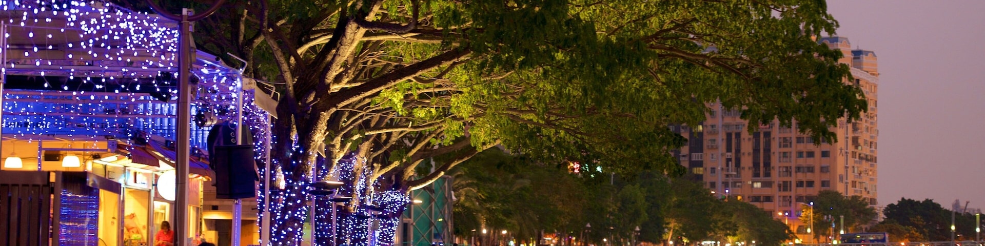 愛河 其中包括 夜景 和 城市