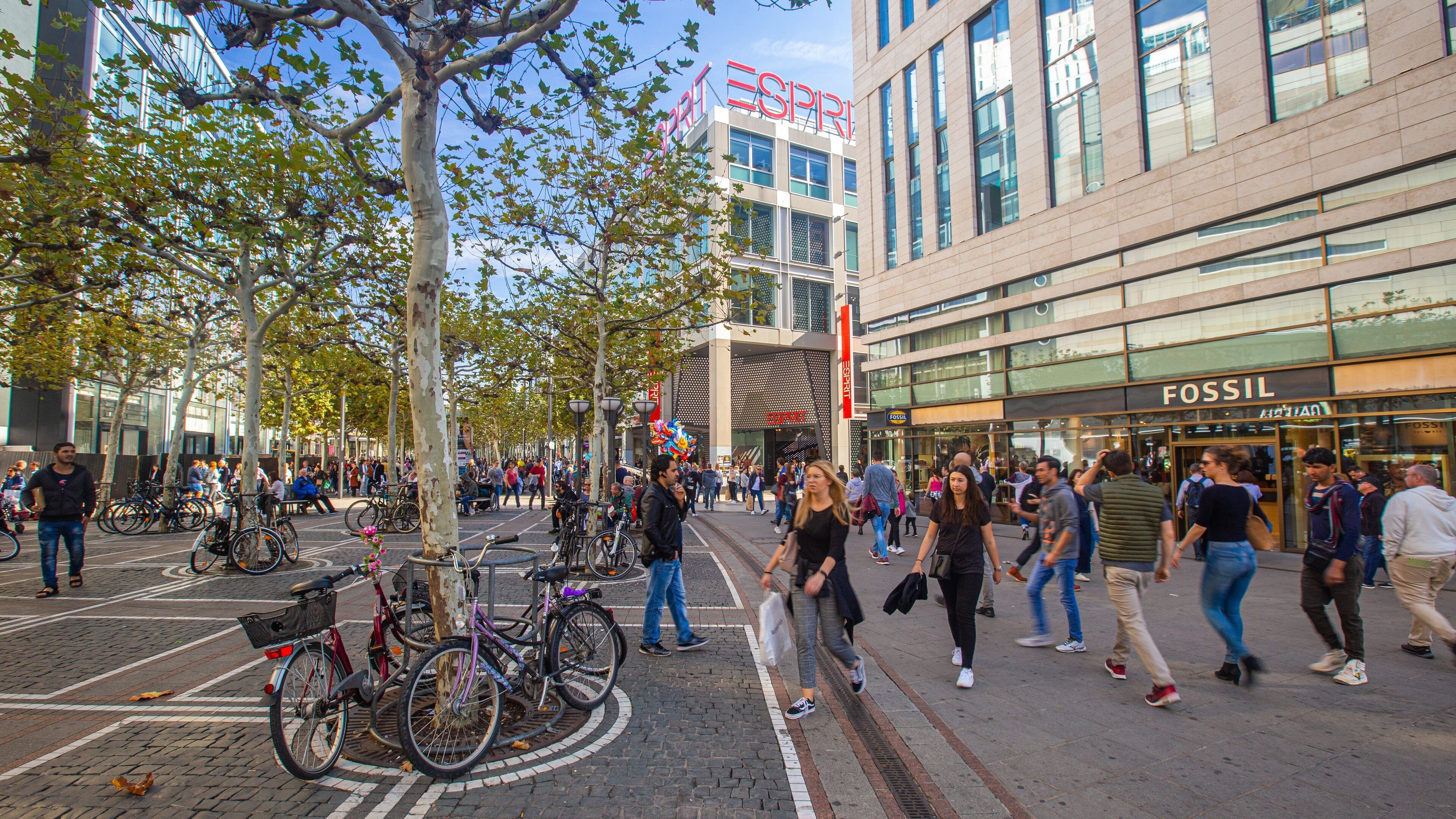 Zeil Shopping District showing a city and street scenes as well as a large group of people