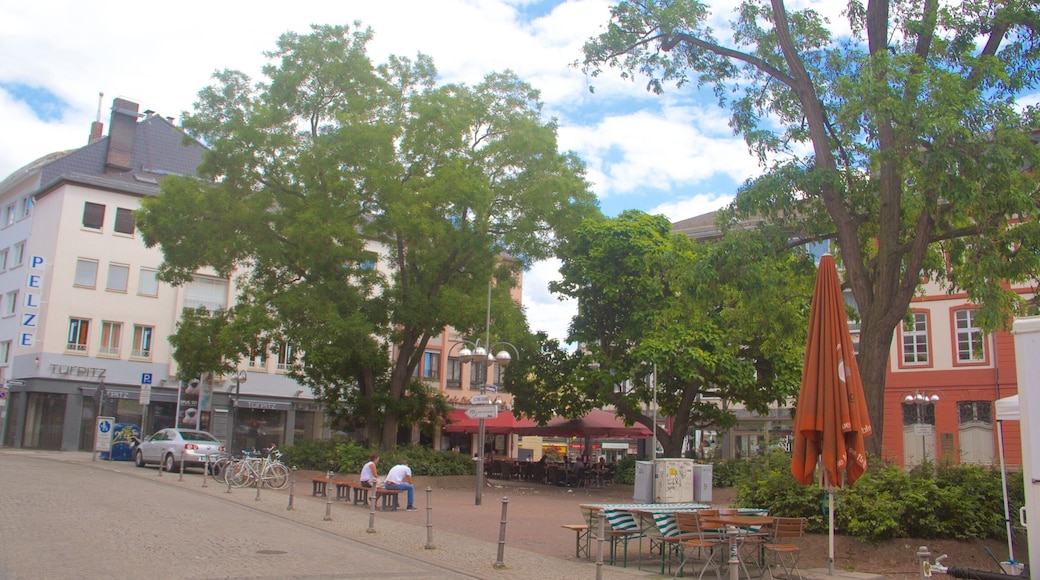 Distrito comercial Zeil ofreciendo un parque o plaza y una ciudad