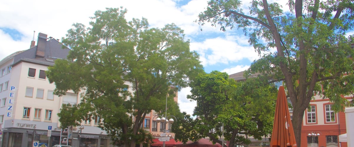Zeil Shopping District featuring a square or plaza and a city
