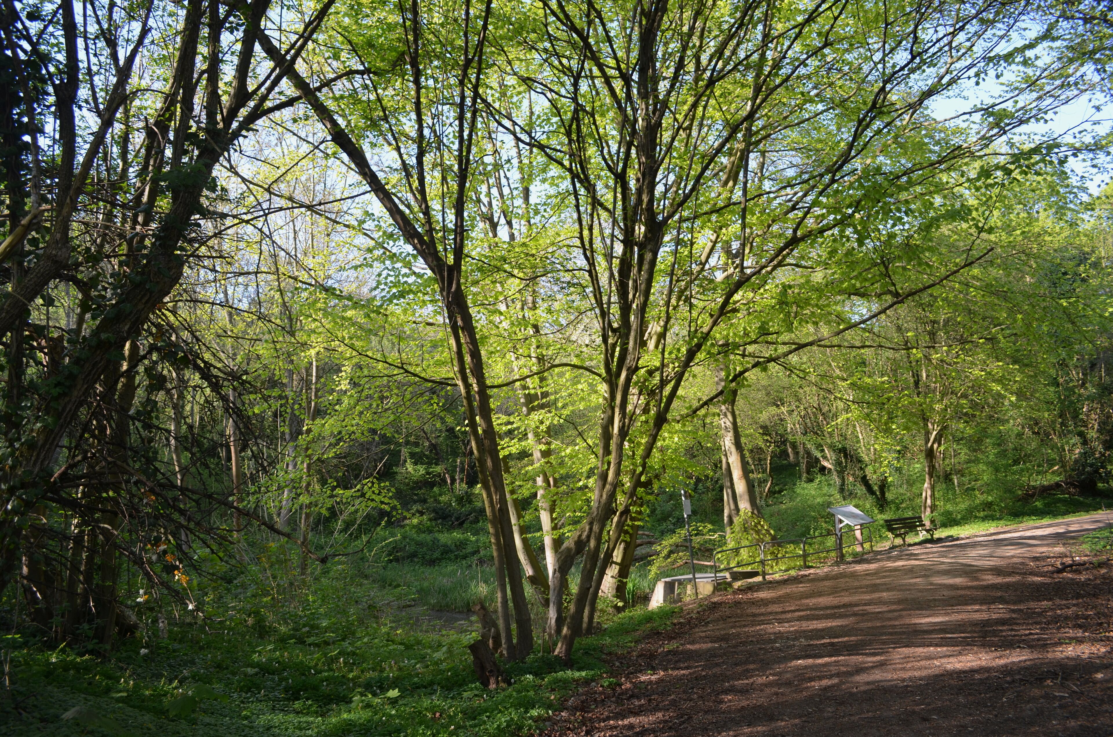 Frankfurt-Enkheim, Mühlbachtal