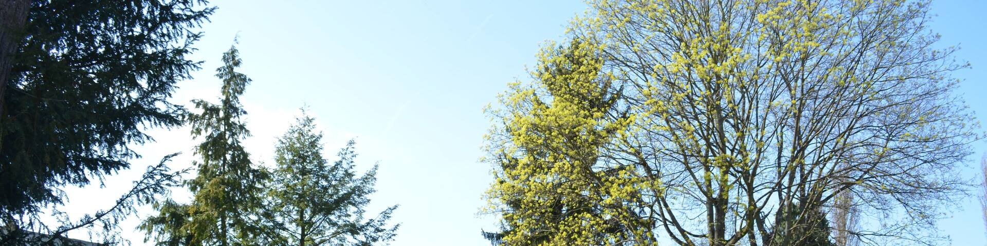 Frankfurt-Bergen, Friedhof