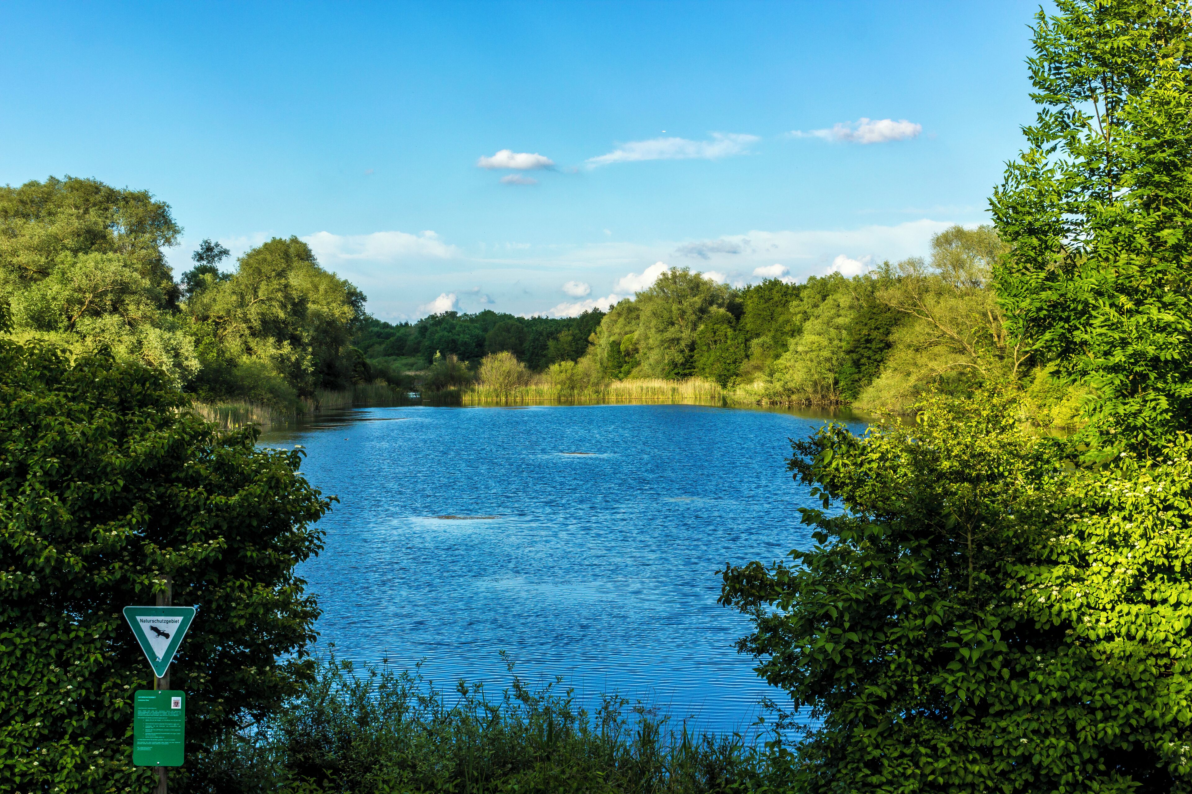 Der Riedteich im NSG Enkheimer Ried bei Frankfurt am Main - Bergen Enkheim