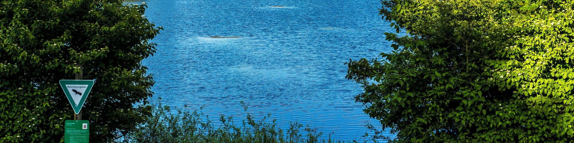 Der Riedteich im NSG Enkheimer Ried bei Frankfurt am Main - Bergen Enkheim