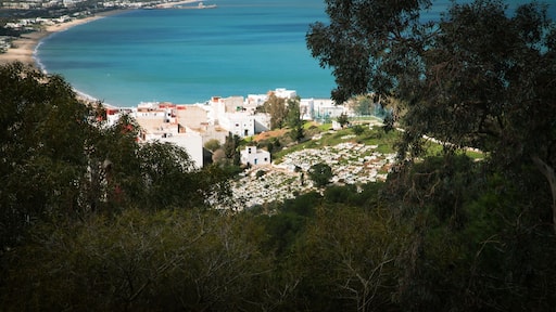 Panoramic view over M’diq, turquoise Mediterranean beach, hillside cemetery and white houses framed by dense vegetation, northern Morocco.