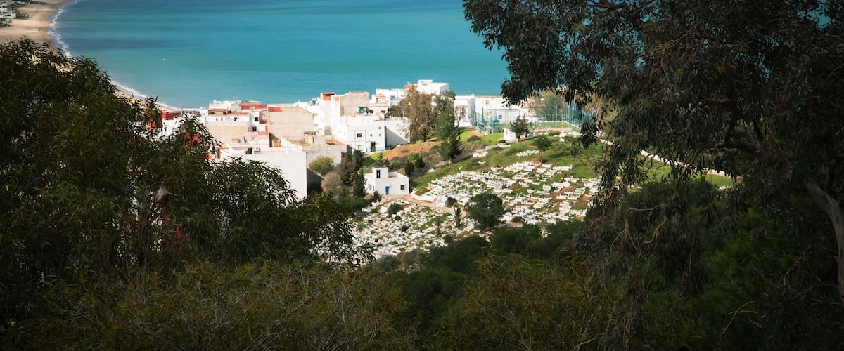 A coastal town with white buildings, a beach, and a dense forest in the foreground.