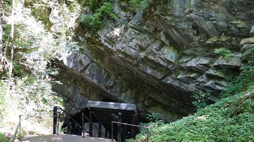 Steps leading down into Penn's Cave near Centre Hall, Pennsylvania, U.S.A