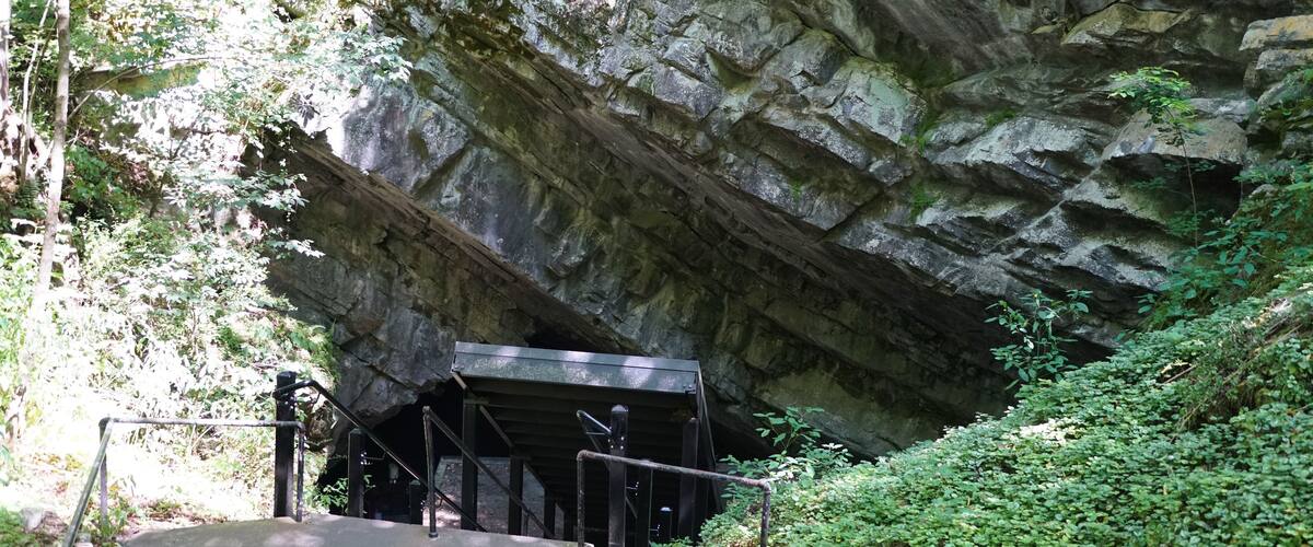 A rocky cliff with a tunnel entrance, surrounded by greenery.