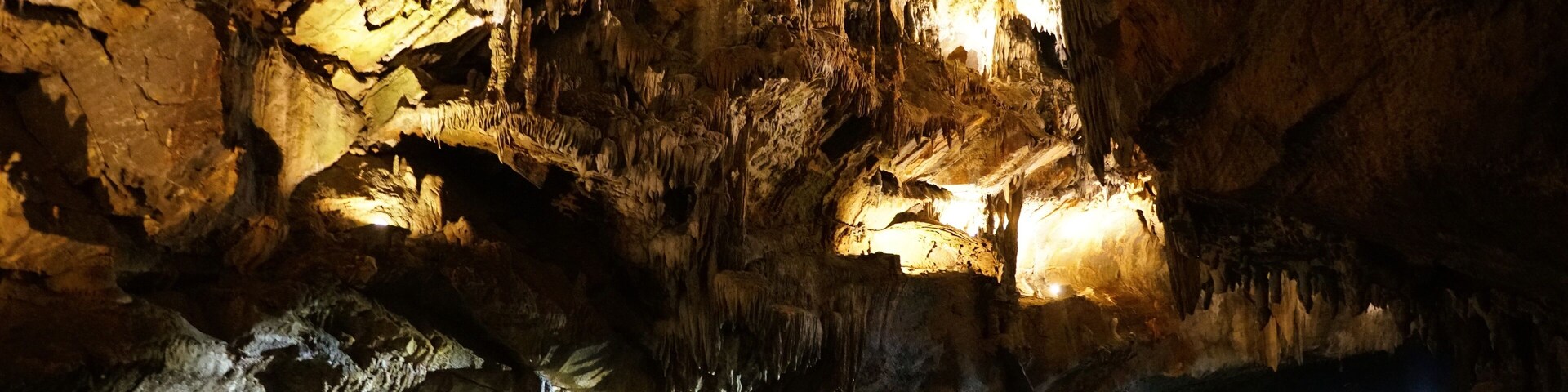 The boat light streams into Penn's Cave, illuminating the cave's intricate rock formations.