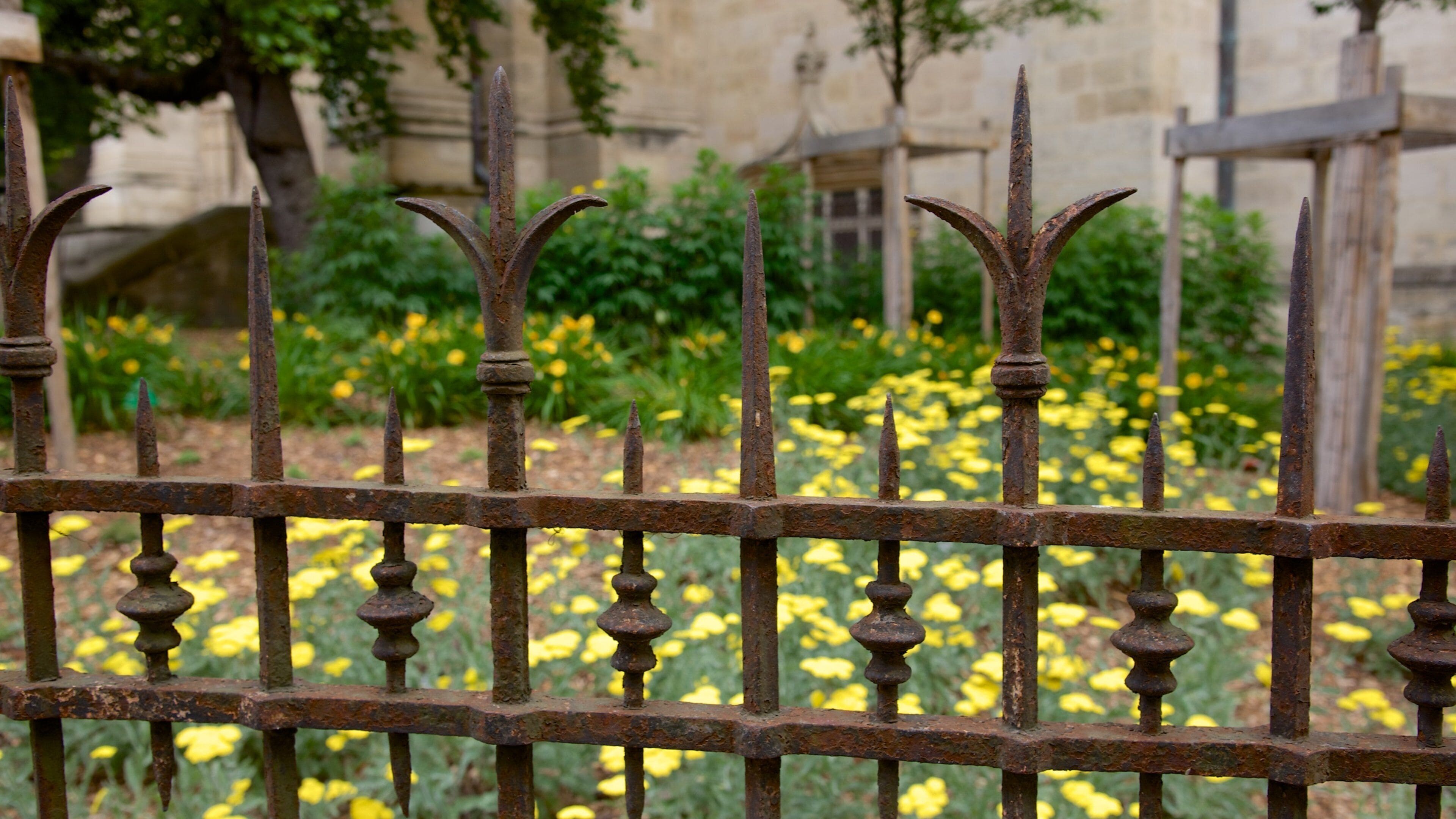 St. Michael Basilica showing flowers