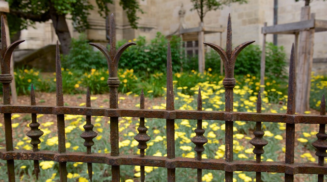 St. Michael Basilica showing flowers