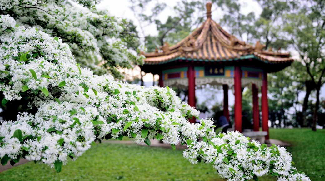 Taoyuan, Taoyuan District, Taoyuan City, Taiwan